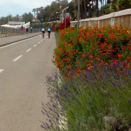 公寓 Casa Via Monta In Centro 圣雷默