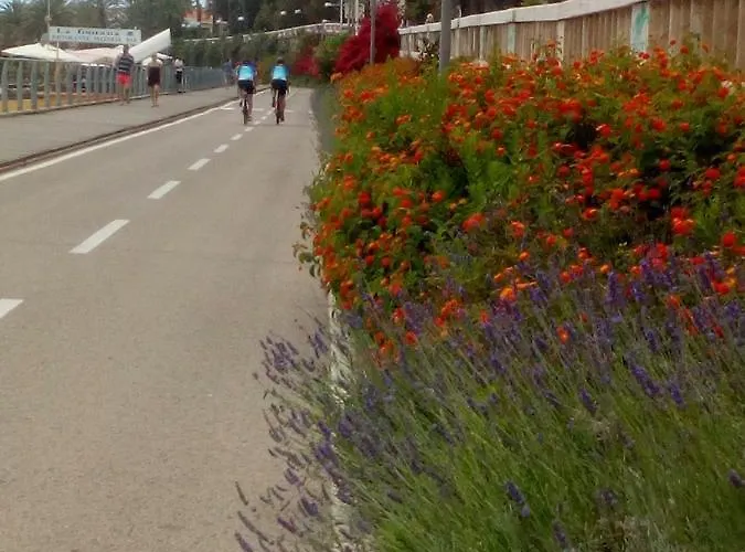 公寓 Casa Via Monta In Centro 圣雷默